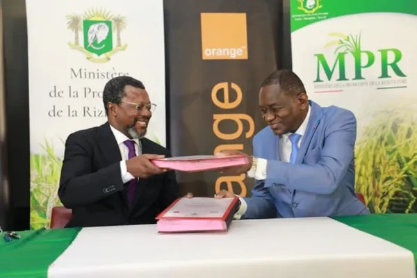 Partenariat entre le gouvernement et Orange Cote d’Ivoire pour le développement de la riziculture