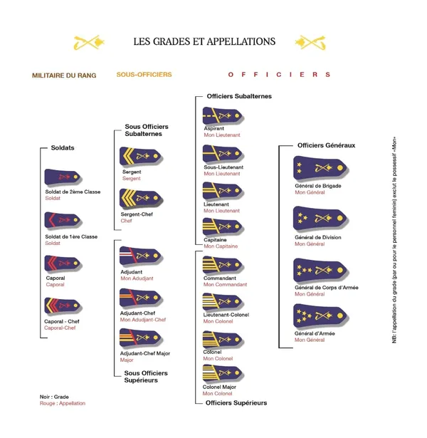 Armée de l’air, Armée de terre, Marine nationale: voici la liste des grades de l’armée ivoirienne