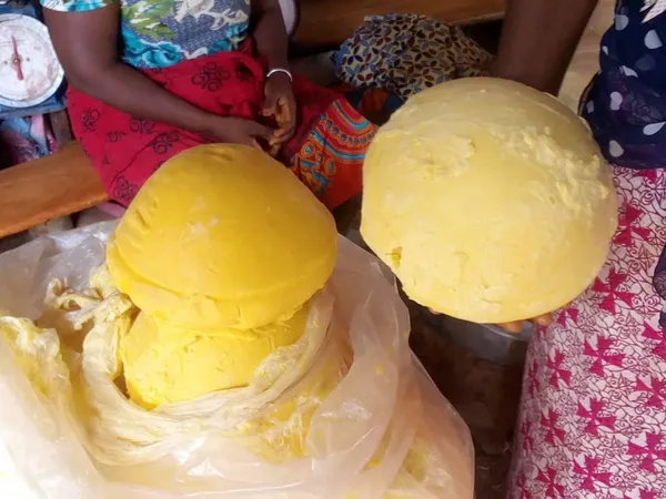 La « Semaine de promotion du karité » ouverte à Abidjan