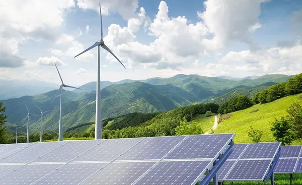La Côte d’Ivoire va construire une centrale électrique à biomasse utilisant les résidus de coton