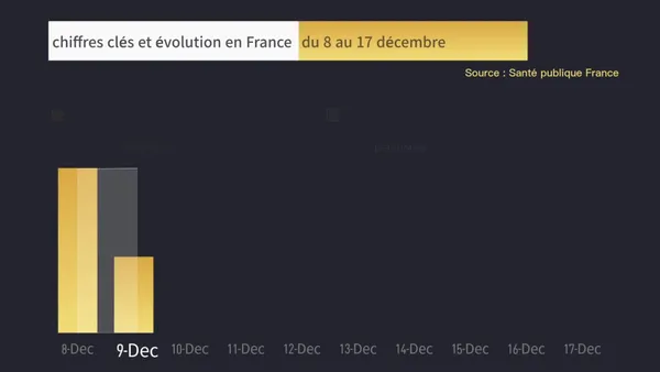 COVID-19 : chiffres clés et évolution en France du 8 au 17 décembre – Actualités 18/12/2020