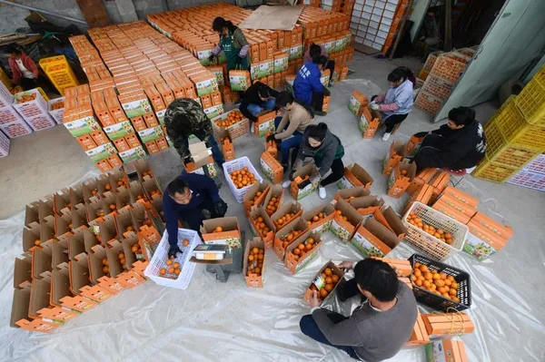 Chine : consolidation des efforts de réduction de la pauvreté au Guangxi (sud) – Actualités 20/12/2020