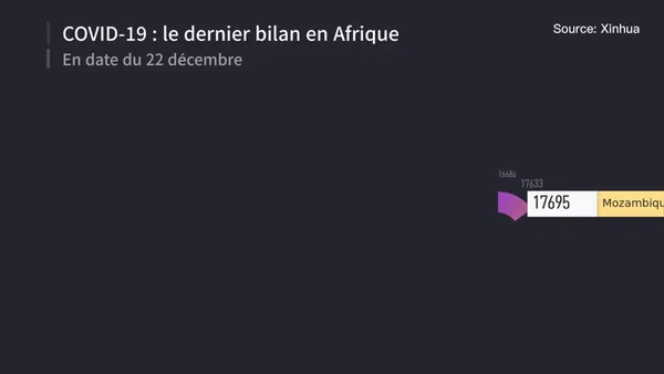 COVID-19 : le dernier bilan en Afrique en date du 22 décembre – Actualités 22/12/2020