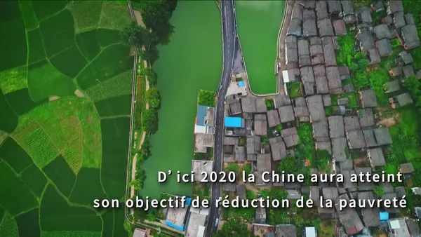 Les amis internationaux sont en action – Actualités 24/12/2020