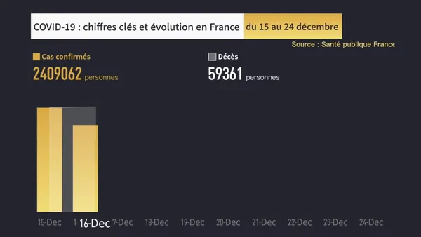 COVID-19 : chiffres clés et évolution en France du 15 au 24 décembre – Actualités 25/12/2020