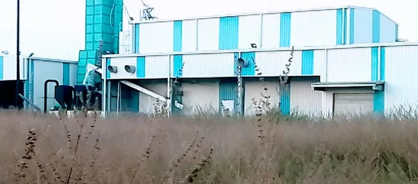 Production de riz de Niakara : l’unité à l’abandon dans la broussaille