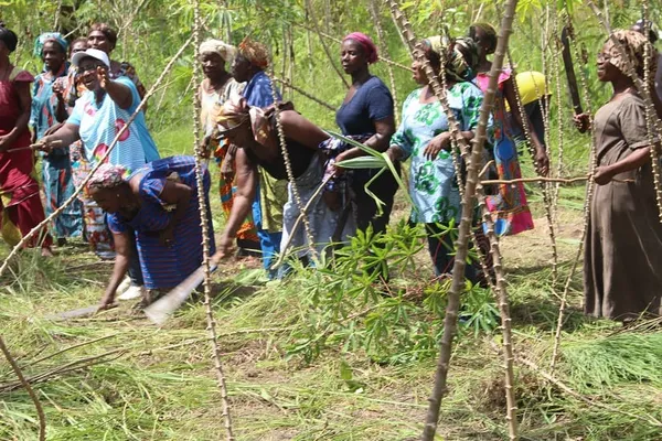 OIF: la Côte d’Ivoire parmi une vingtaine de pays sélectionnés pour soutenir des projets en faveur des femmes – Actualité ivoirienne 04/12/2020