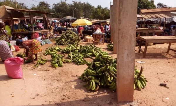 Des sous-préfectures de Bocanda et Kouassi-Kouassikro  bientôt dotées de plateformes de collecte et de distribution de produits agricoles – Actualité ivoirienne 24/12/2020