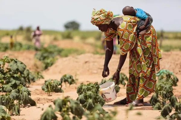 Insécurité alimentaire: Le Sénégal échappe à une éventuelle situation