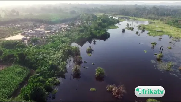 Union du fleuve Mano : une étude transfrontalière sur le bassin du Cavally