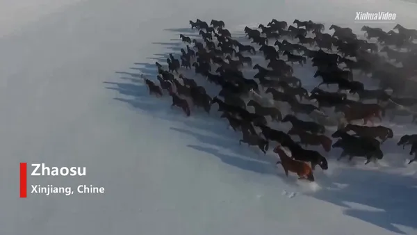 En Chine, les chevaux au galop apportent une vie meilleure aux habitants du Xinjiang – Actualités 01/01/2021