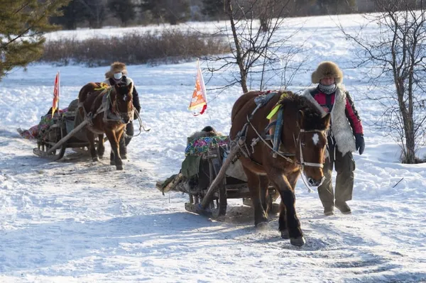 Chine :  traîneaux tirés par des chevaux à Mohe – Actualités 15/01/2021