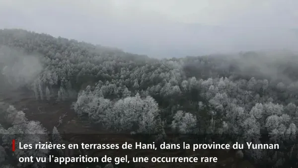Une rare apparition de gel dans des rizières en terrasses de la province chinoise du Yunnan – Actualités 17/01/2021