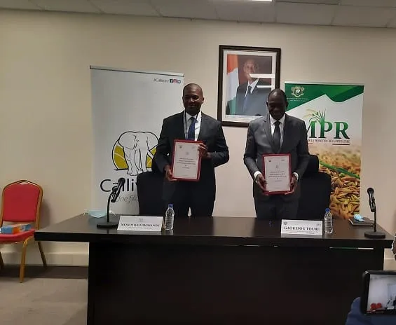 Promotion de la riziculture : signature d’un accord avec un groupe indien