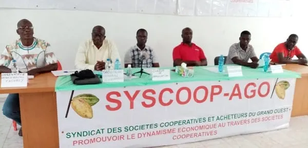 Mévente du cacao ivoirien : le SYSCOOP-AGO accuse des multinationales