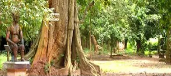 Forêts sacrées à Oumé : les populations sensibilisées