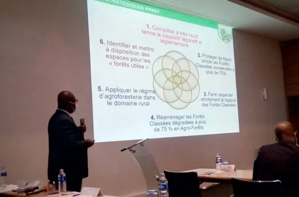 Le projet de réhabilitation de la forêt classée de Cavally entre dans sa phase d’accomplissement – Actualité ivoirienne 28/01/2021