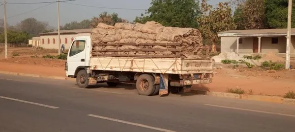 Distribution de sacherie-brousse aux producteurs de la noix de cajou à Madinani – Actualité ivoirienne 04/02/2021