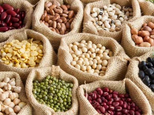 Journée internationale des légumineuses : les légumineuses pour une alimentation saine et une planète en bonne santé