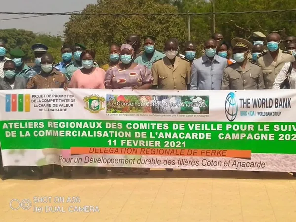 Conseil du coton et de l’anacarde : les comités de veille en atelier à Ferkessédougou