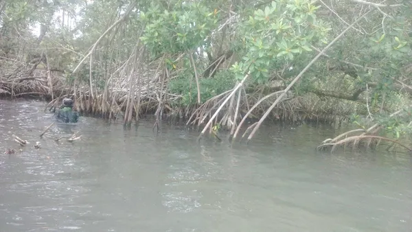 Difficile navigation sur la lagune Tagba à Grand-Lahou – Actualité ivoirienne 15/02/2021