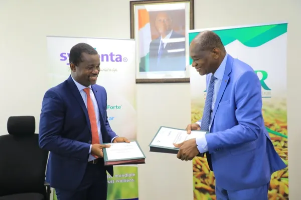 SYNGENTA s’engage aux côtés du ministère pour la promotion de la riziculture – Actualité ivoirienne 19/02/2021