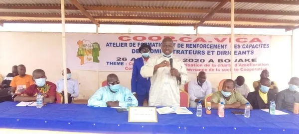 Tengrela : des producteurs formés sur la promotion de la qualité de cajou