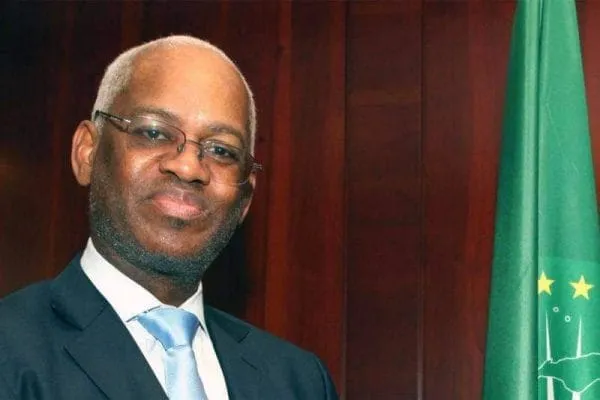 El-Ghassim Wane nommé à la tête de l’ONU au Mali