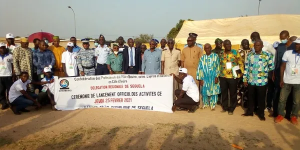 La Confédération des professionnels de la filière bovine s’installe à Séguéla – Actualité ivoirienne 01/03/2021