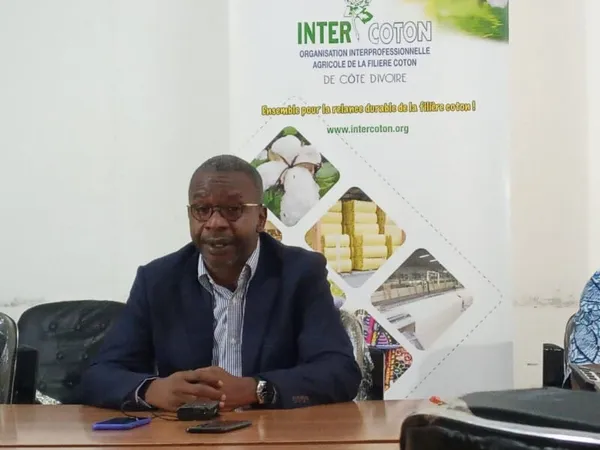 Filière Coton : Intercoton annonce deux nouvelles variétés