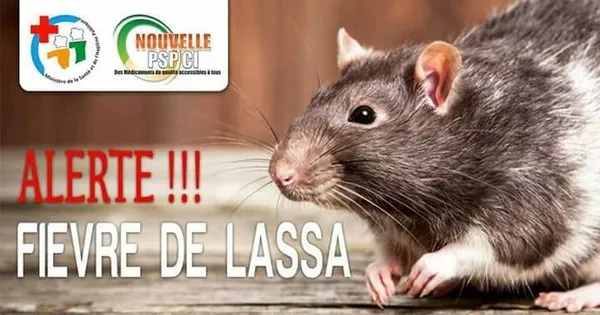 Fièvre de Lassa : ce qu’il faut savoir sur ce virus qui menace l’Afrique de l’Ouest