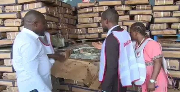 350 kilogrammes de poissons périmés et avariés saisis et incinérés à Mankono