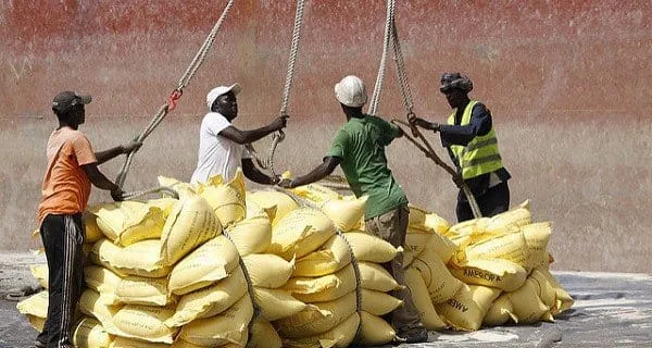 Guinée-Bissau : saisie d’une grande quantité de riz avarié
