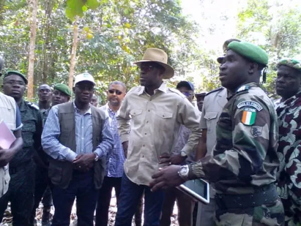 La Côte d’Ivoire et le Mali se disputent une forêt