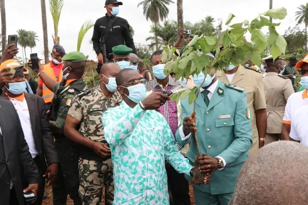 Côte d’Ivoire : une opération pour freiner la déforestation lancée