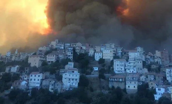 Incendies en Algérie : plus de 40 morts