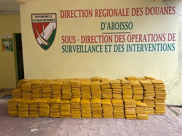 Aboisso : saisie de 758,4 kg de cannabis à Assinie Mafia