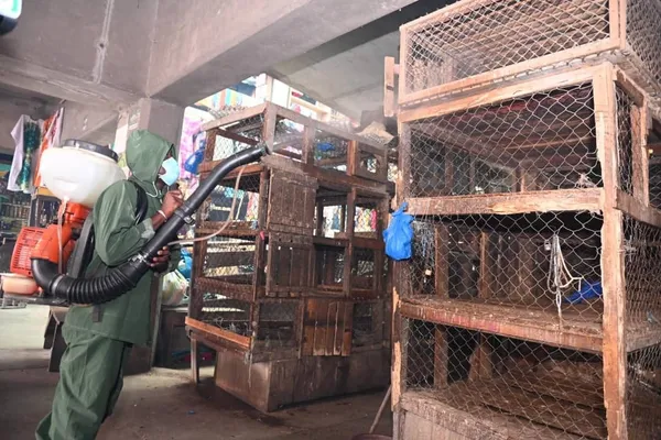 Grippe aviaire : les marchés à volailles à Abidjan désinfectés