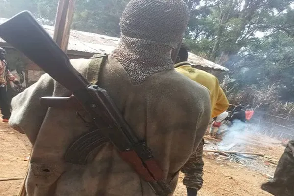 Cameroun : enlèvement de 14 ouvriers de construction de route
