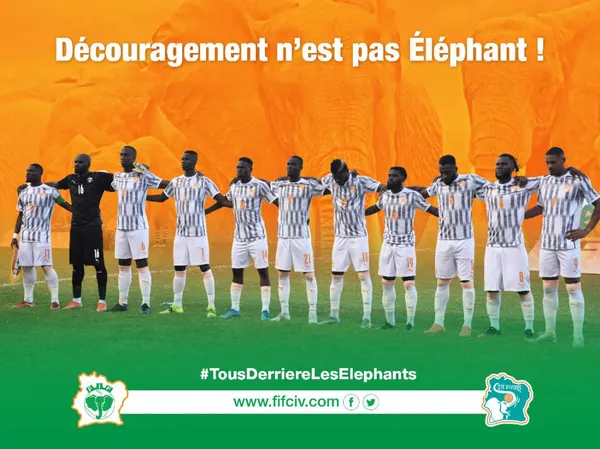 Titrologie 17 novembre 2021: les Eléphants éliminés