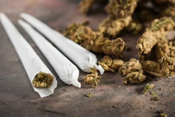 Gabon : deux dealers de cannabis interpellés