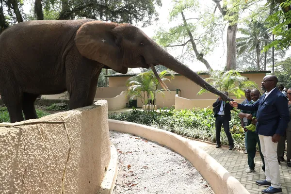 Réouverture du zoo d’Abidjan : voici les nouveaux prix d’entrée