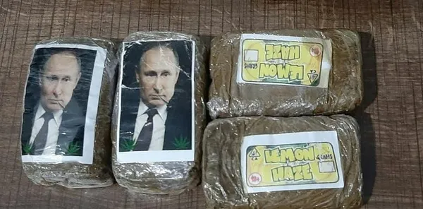 Libye : des drogues Vladimir Poutine saisies