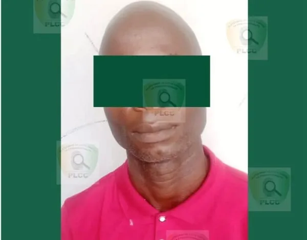 Côte d’Ivoire : un individu arrêté pour pédophilie