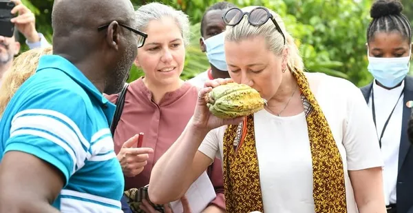 Cacao : la Côte d’Ivoire et le Ghana invitent l’industrie du chocolat au respect de leurs engagements au plus tard le 20 novembre