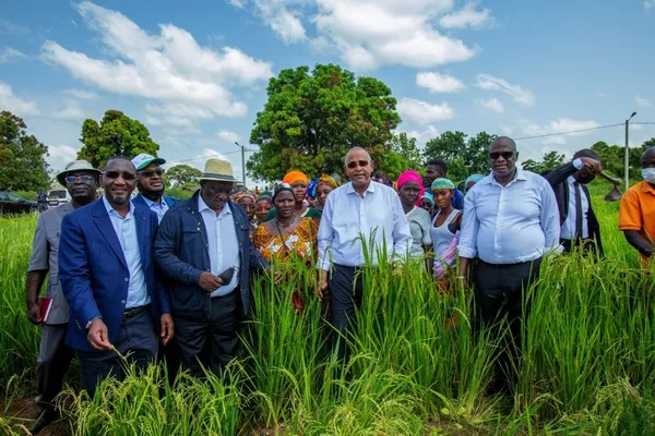 A’Salfo sur RFI : son plaidoyer pour l’agriculture ivoirienne