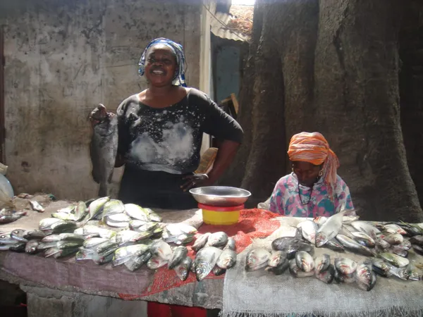 Côte d’Ivoire: la FAO va former des mareyeuses en matière de gouvernance des pêches