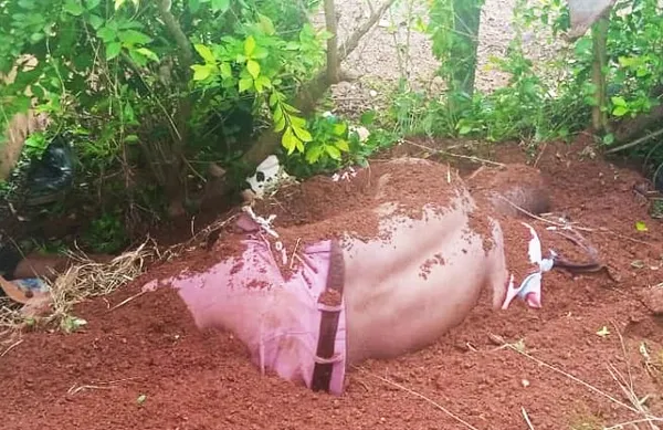 Kani : un homme retrouvé mort dans une forêt à Kato, son corps criblé de balles, une enquête ouverte