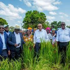 Côte d’Ivoire: Le gouvernement installe un Agropole et des barrages  hydroagricoles au Nord