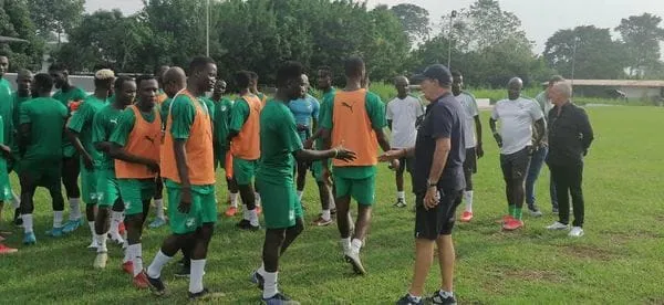 CHAN 2023 : Jean-Louis Gasset aux côtés des Eléphants locaux